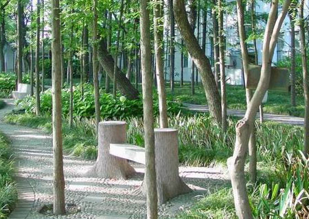 复旦大学校园绿化