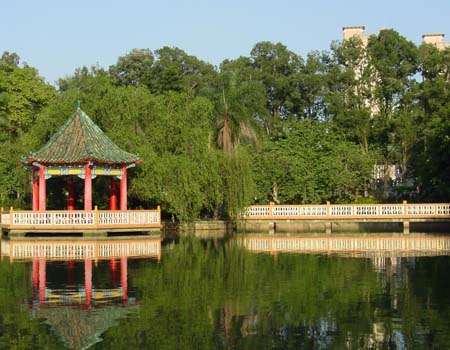 暨南大学校内湖畔景色
