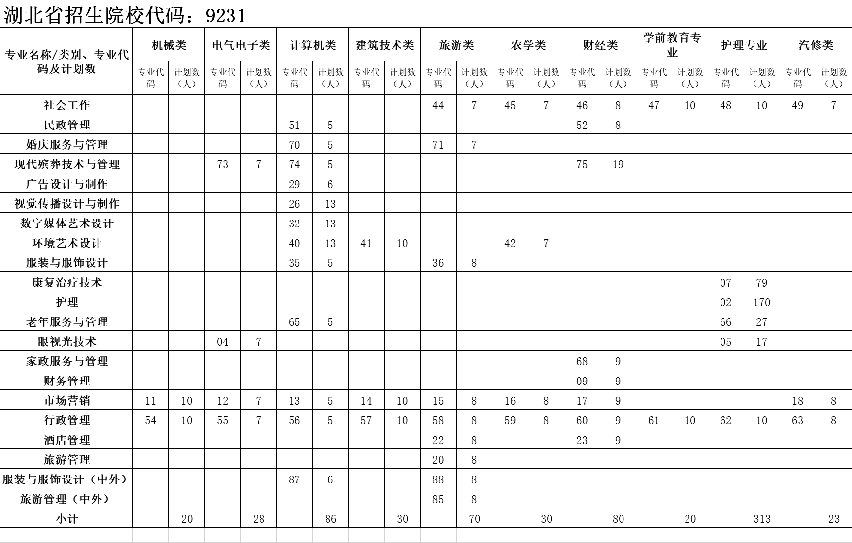 湖北民政2020.png